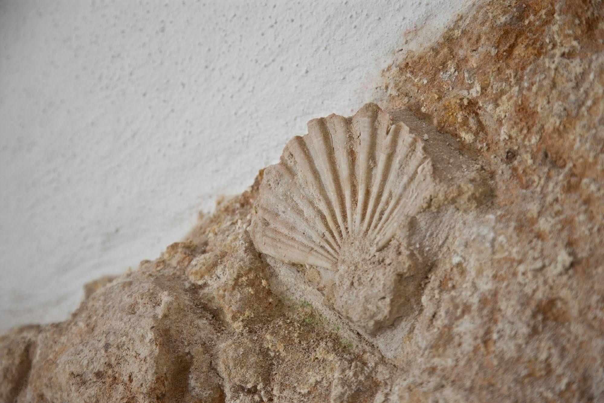 Grottammare Appartement Polignano a Mare Buitenkant foto